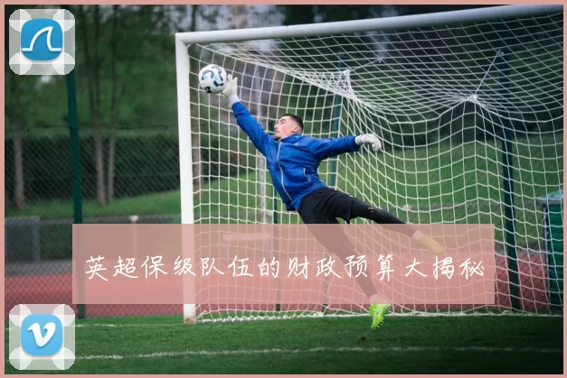 英超保级队伍的财政预算大揭秘