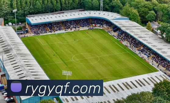 九游体育平台生态图